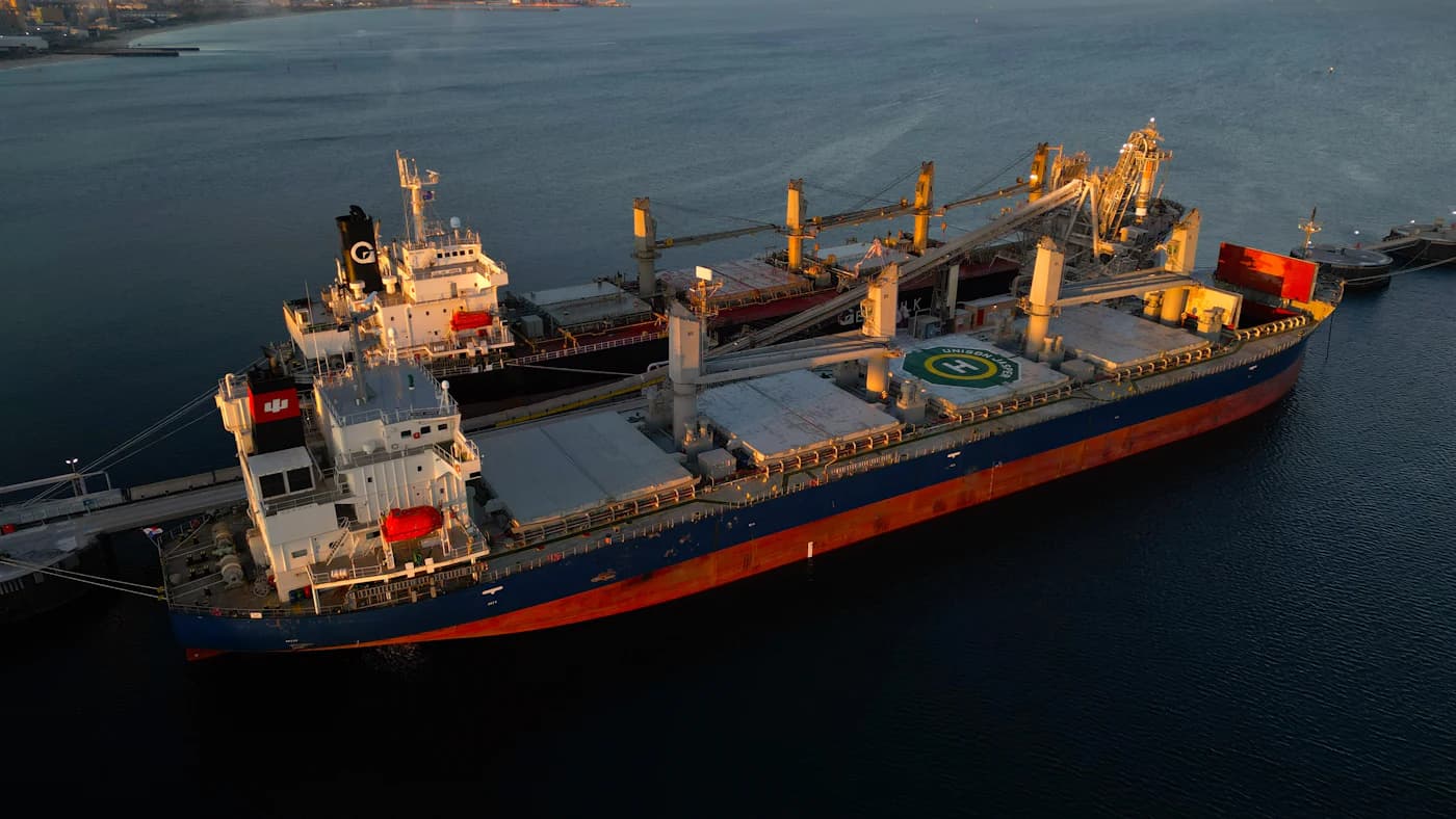 A bulk carrier with deck cranes and hatch covers, seen from above